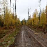 Дорога до Дешембинского озера